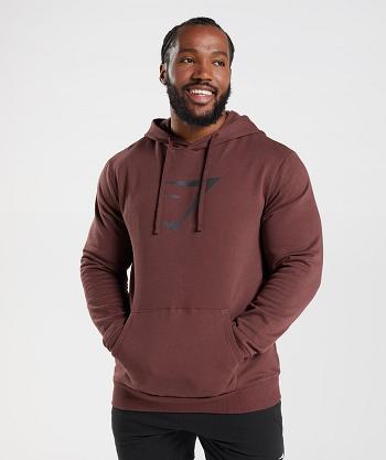 Sudadera Con Capucha Gymshark Sharkhead Infill Hombre Rosas Marrones | CO 3609OKI